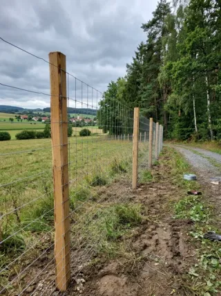 Wildzaun in Merching - fachgerechte Ausführung vor Ort